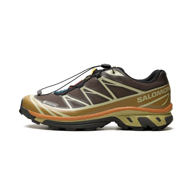 Salomon XT-6 Gore-Tex “Delicioso Tea” (L49202-100)