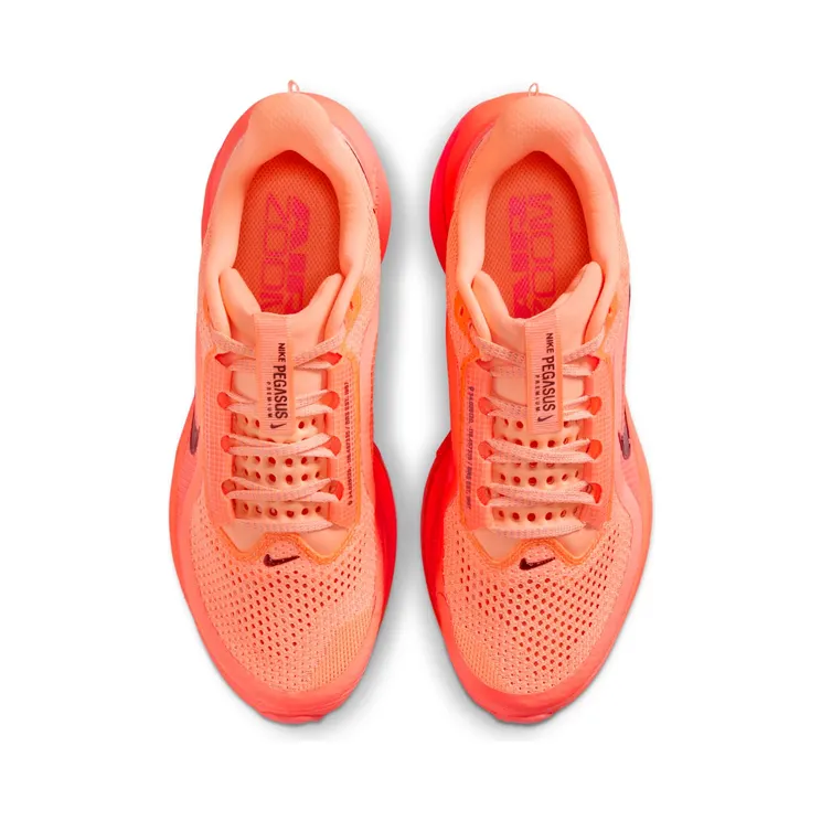 nike-air-pegasus HQ2593-802