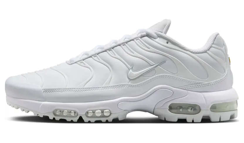 Nike Air Max Plus FZ4150-100