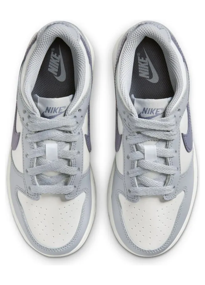 nike-dunk FB9108-101