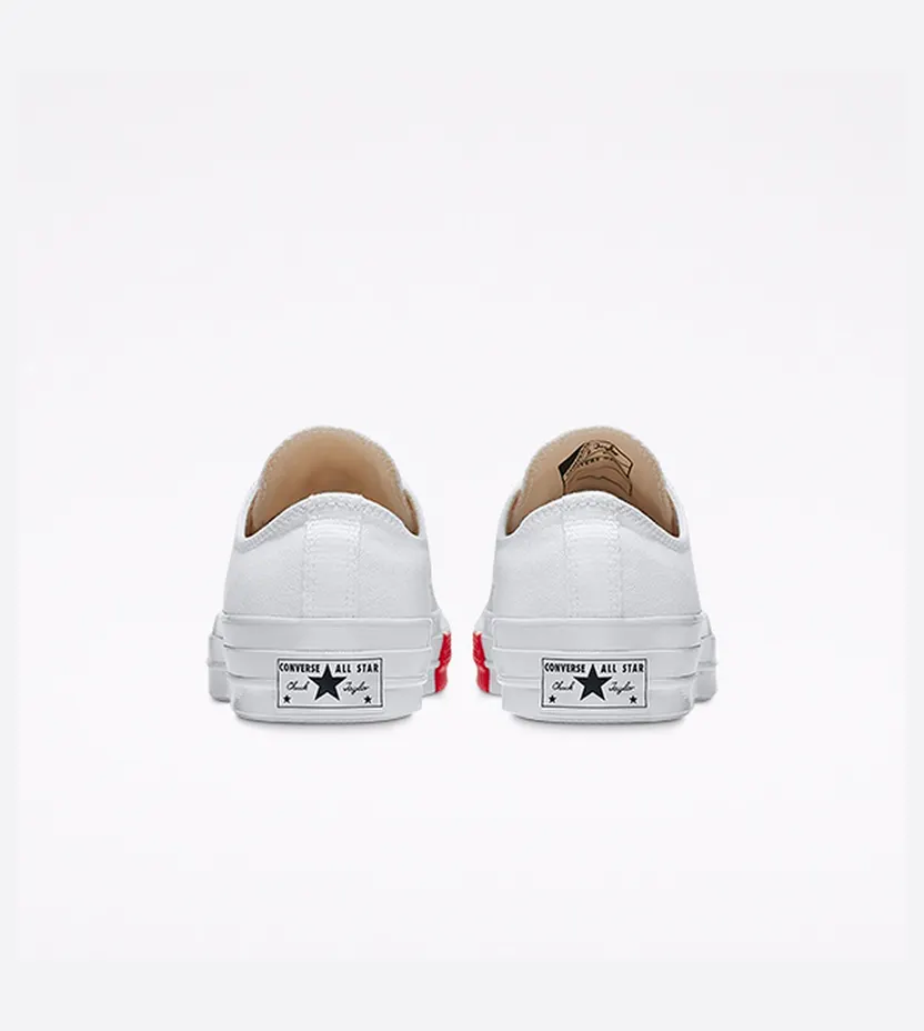 converse-chuck-taylor-all-star 163013C