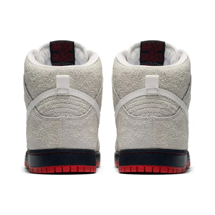 nike-dunk-sb 881758-110