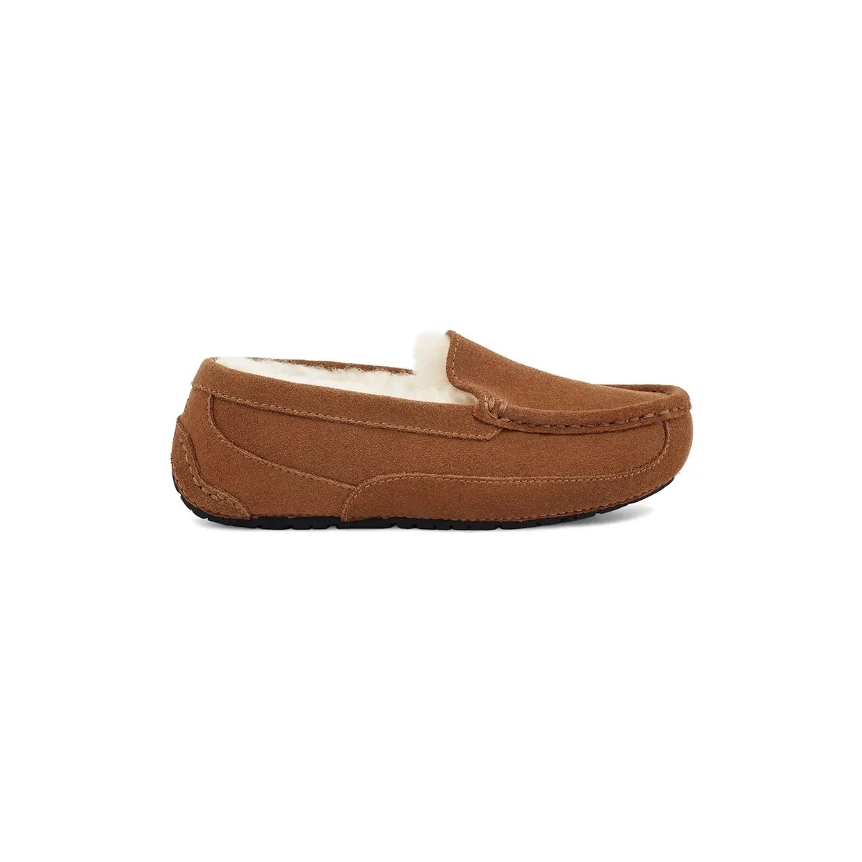 ugg-ascot 1120886K-CTSD
