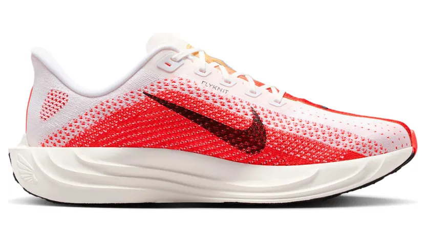 nike-air-pegasus FQ7262-103