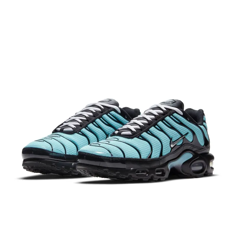 Nike Air Max Plus Aqua Blue (CV8838-400)