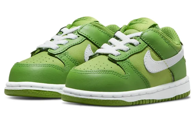 nike-dunk DH9761-301