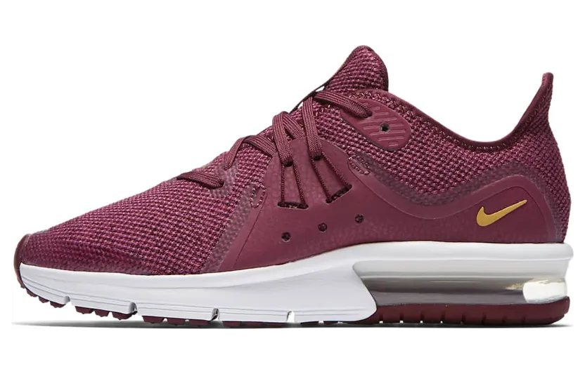 Nike Air Max Sequent 3 Bordeaux Metallic Gold (GS)