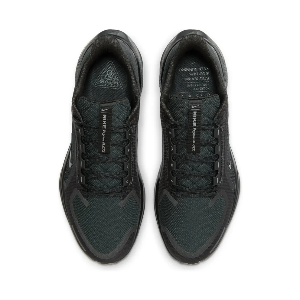 Nike Air Zoom Pegasus 41 GTX “Black Anthracite” (FQ1356-001)