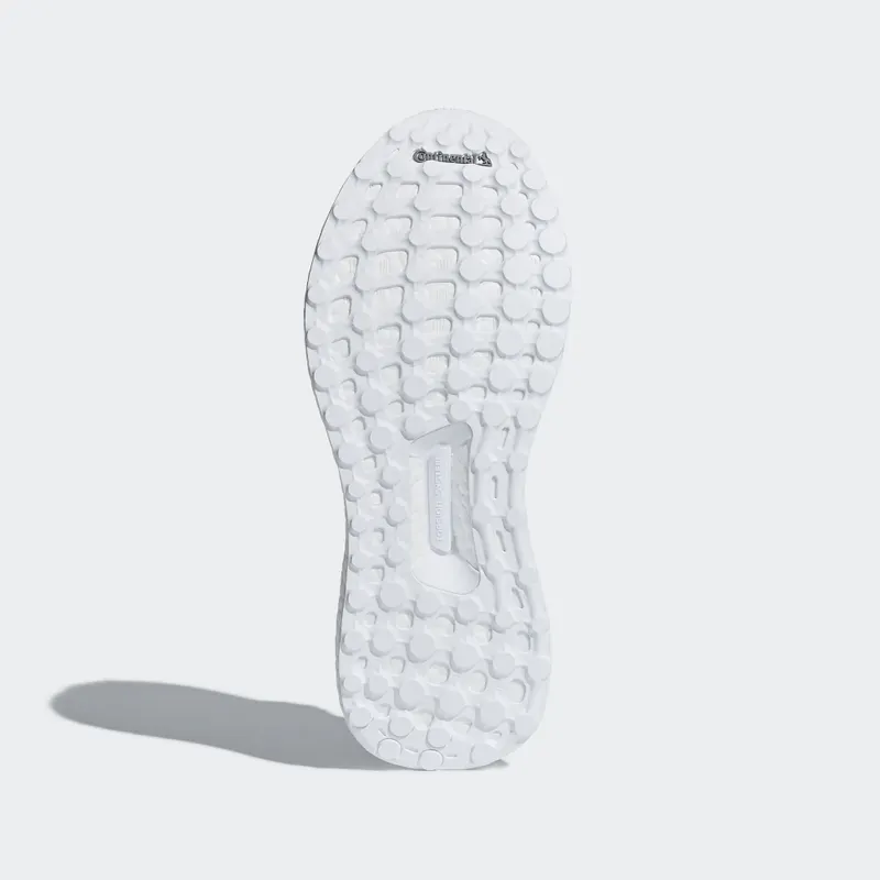 adidas Ultra Boost X Parley Raw Grey (W) Raw Grey/Carbon/Legend Ink (AQ0421)
