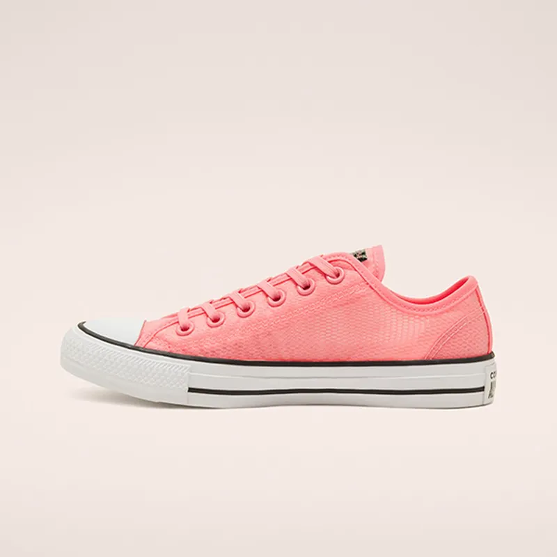 Converse Concrete Heat Chuck Taylor All Star Low Top (567660C)