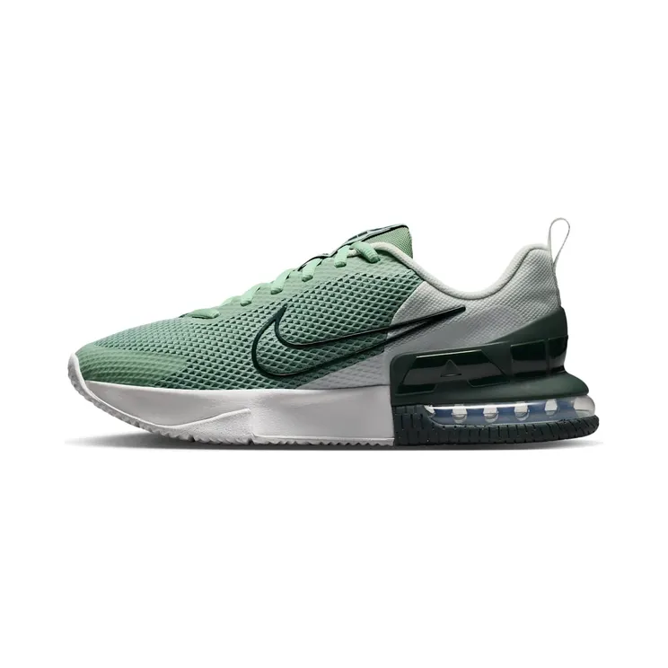 Nike Alpha Trainer Steam/Spruce Aura/Off White/Black Spruce (FQ1833-015)