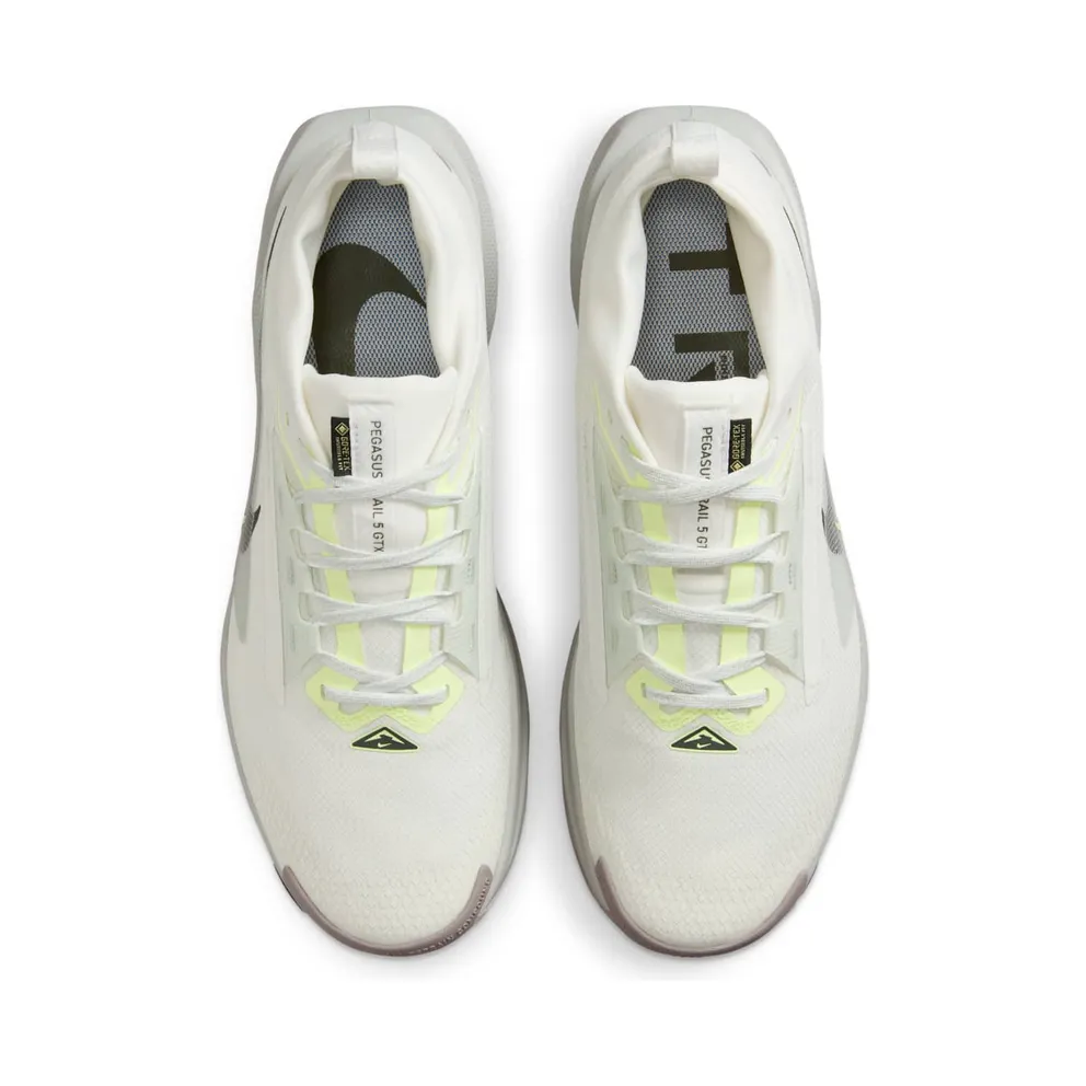 Nike Pegasus Trail 5 Gore-Tex Summit White Light Silver College Grey Sequoia (FQ0908-102)