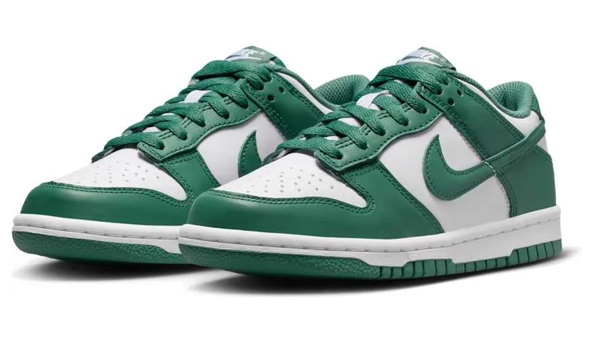 nike-dunk HF4798-100