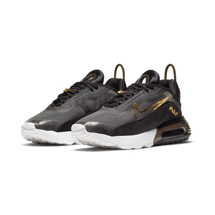 nike-air-max DC4461-001