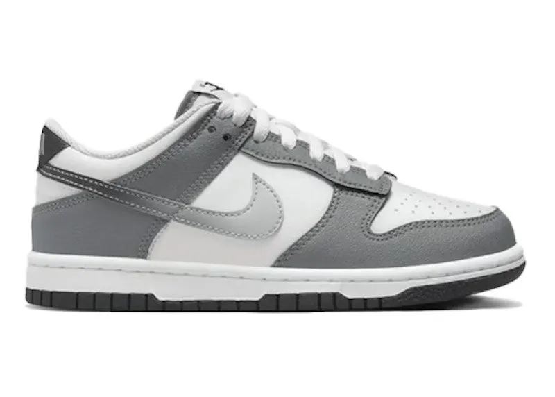 Nike Dunk Low Cool Grey (HM9617-001)