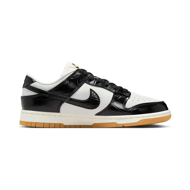 nike-dunk FJ2260-003