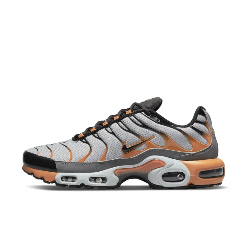 Nike Air Max Plus Grey (DM0032-001)