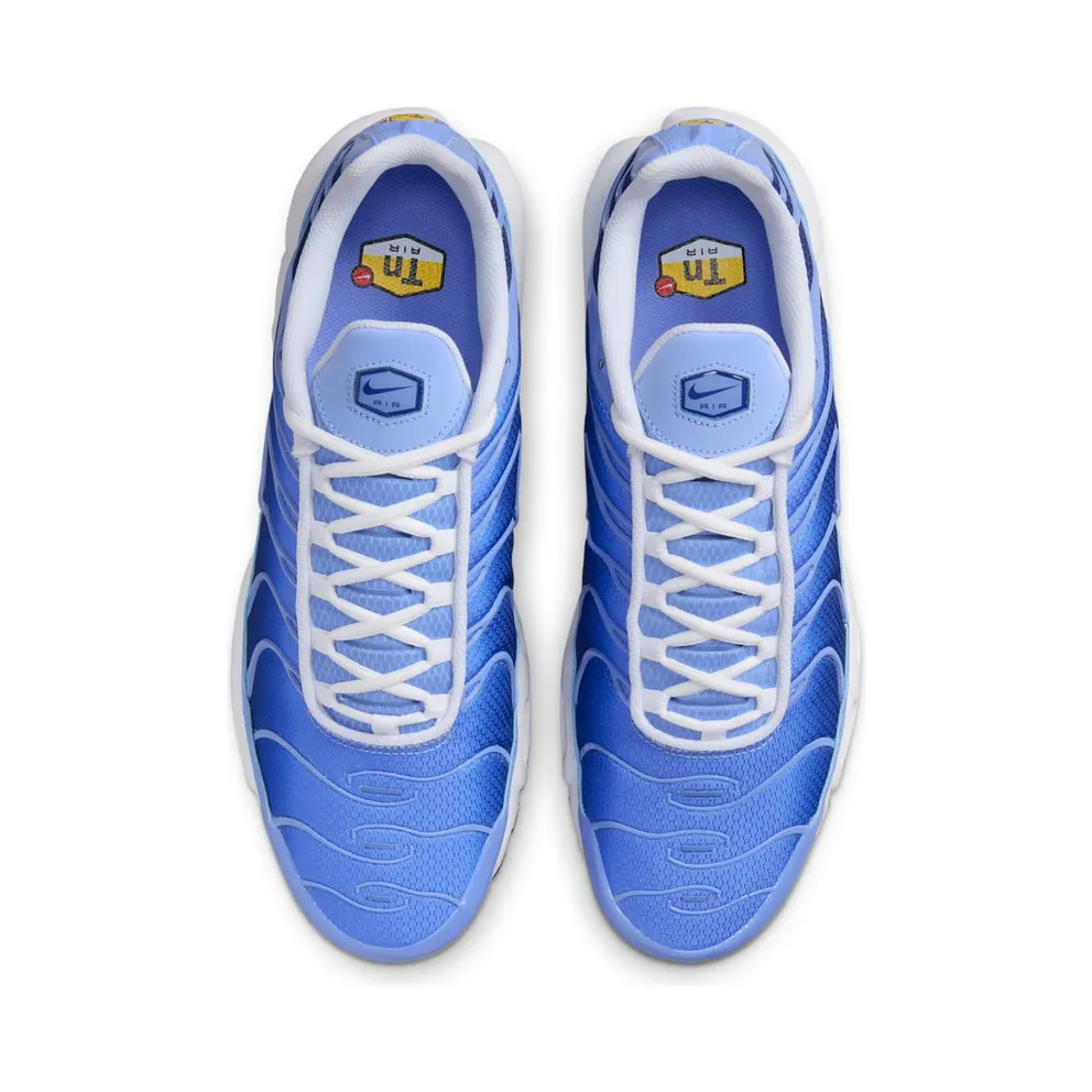 Nike Air Max Plus Blue (DM0032-403)