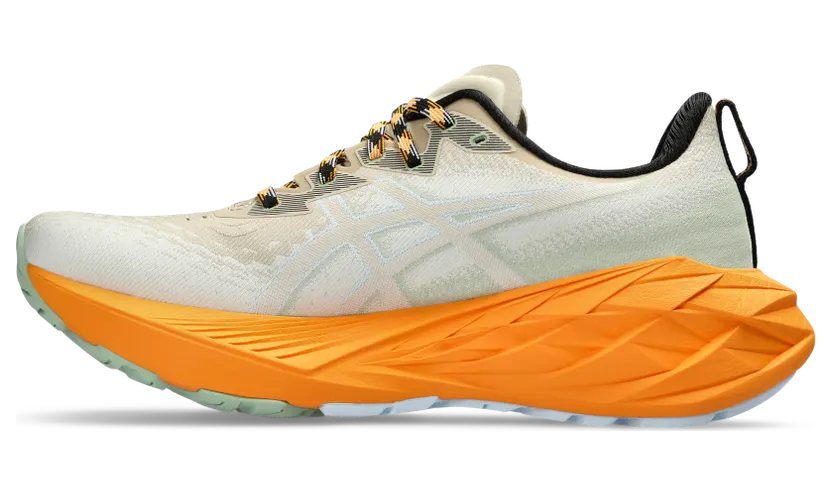 asics-novablast 1011B850.250