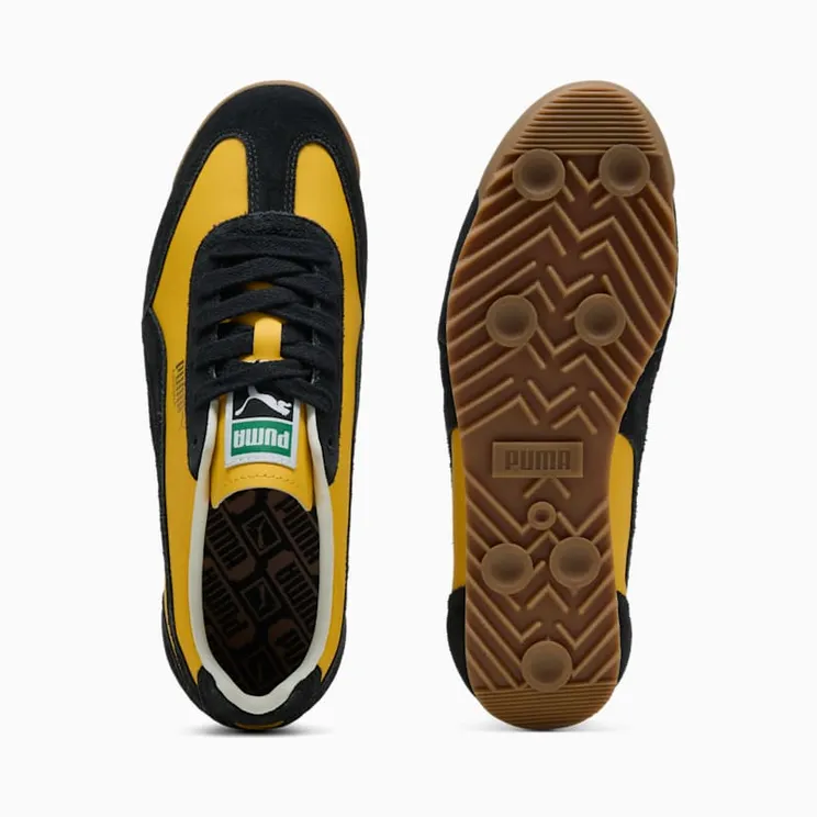 puma-arizona 40235303