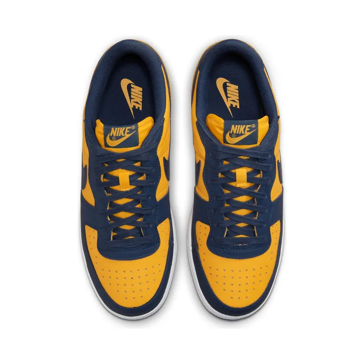 nike-terminator FJ4206-700