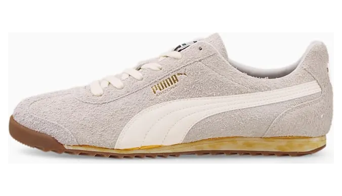 puma-arizona 384402-01