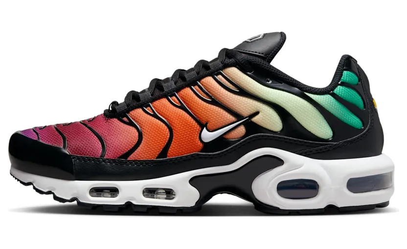 Nike Air Max Plus Rainbow (DZ3670-001)
