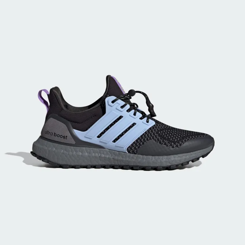 adidas Ultra Boost 1.0 Core Black Blue Dawn Carbon (ID9640)