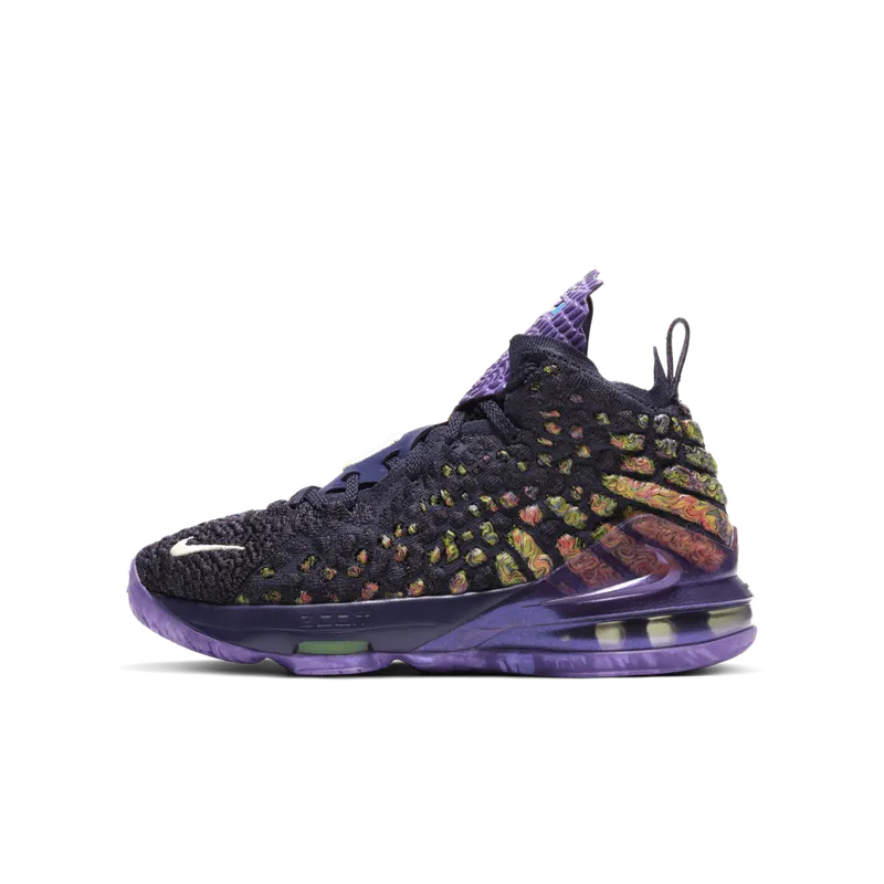 Nike LeBron 17 Monstars (GS) Navy Heather/Multi-Color-Black (CW1036-400)