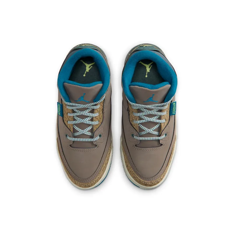 Air Jordan 3 PS “We Outside” (IB7064-001)