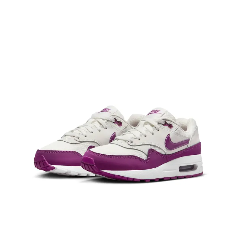 Nike Air Max 1 Summit White Viotech (DZ3307-109)