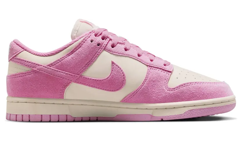 nike-dunk HJ7673-101