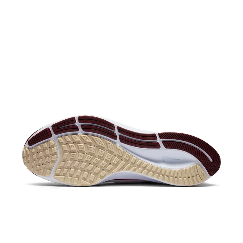 Nike Air Zoom Pegasus 37 Florida State White/Pure Platinum-Team Maroon-Team Gold (CZ5377-100)