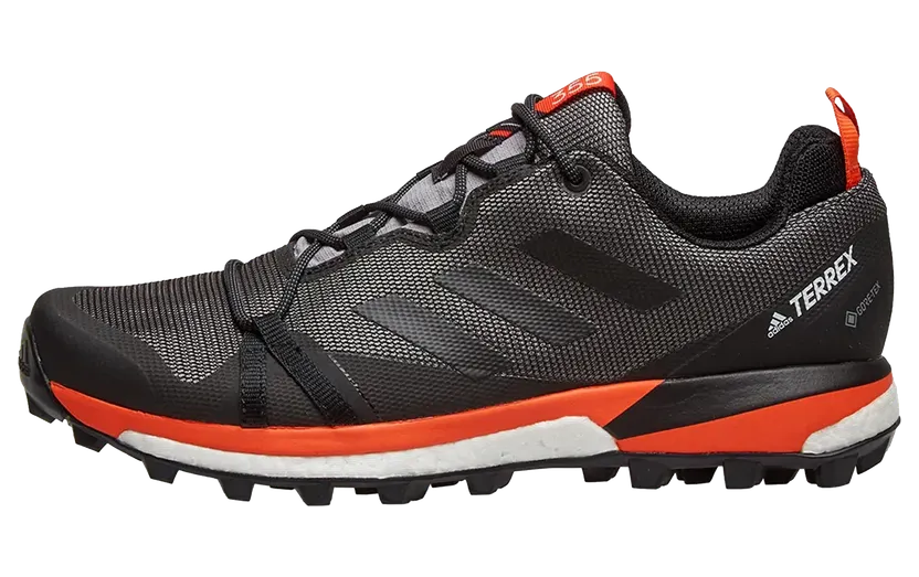 Adidas Terrex Skychaser LT GTX “Black” (F36101)