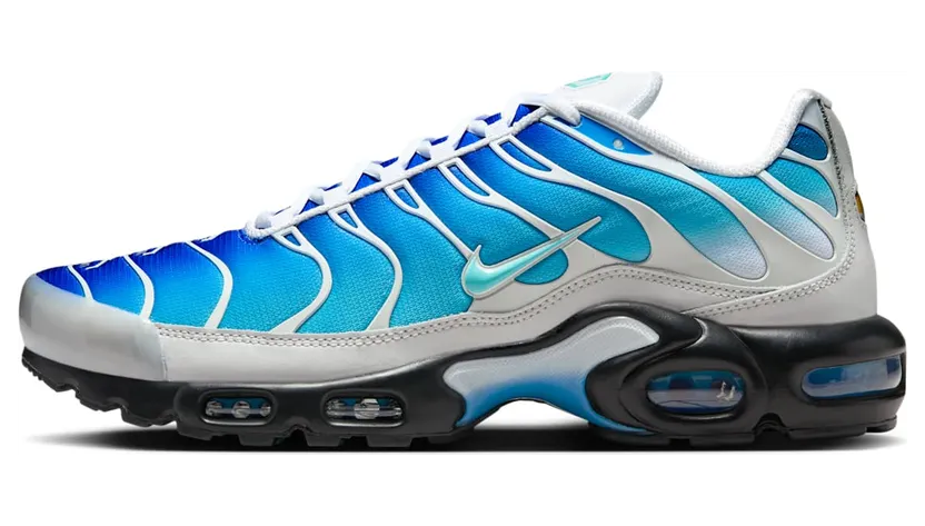 Nike Air Max Plus FZ3308-400