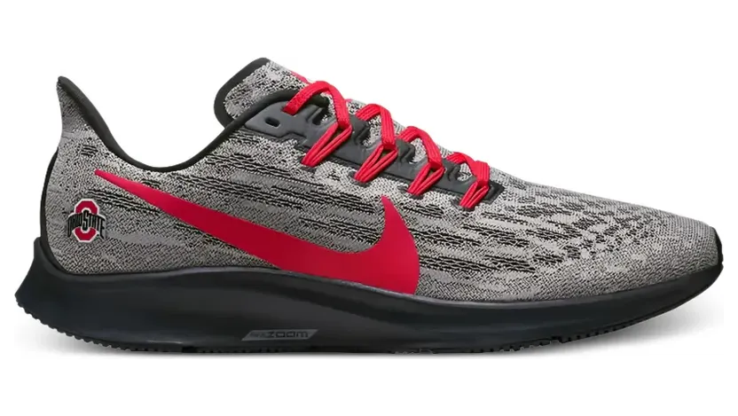 Nike Pegasus 36 low-top sneakers – Grijs (CI2069)