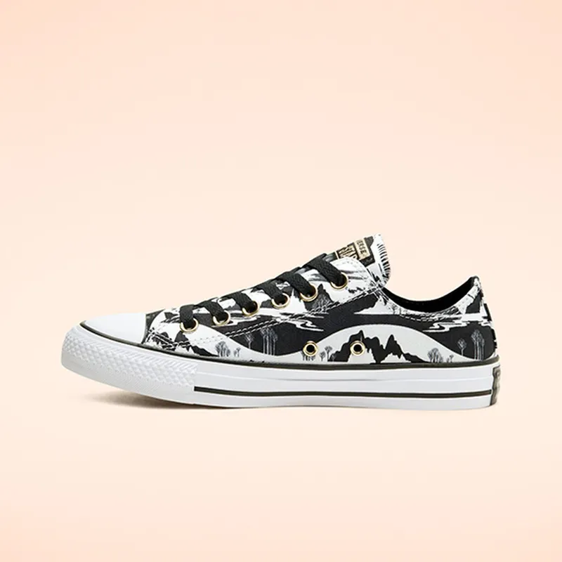 Converse Chuck Taylor All-Star Low Frozen 2 White Black White/Black-White (167360C)