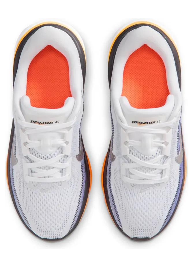 nike-air-pegasus IH2306-100
