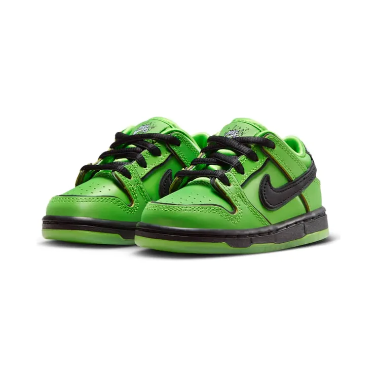 nike-dunk-sb FZ8831-300