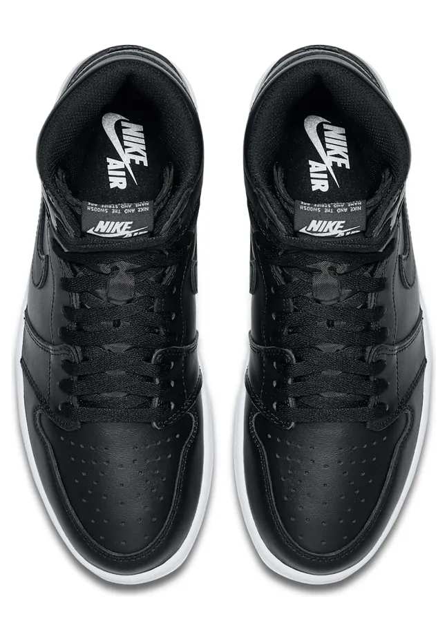 air-jordan-1 555088-006