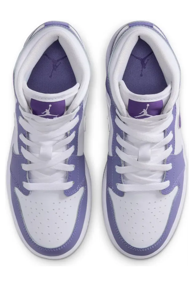 air-jordan-1 DQ8423-500