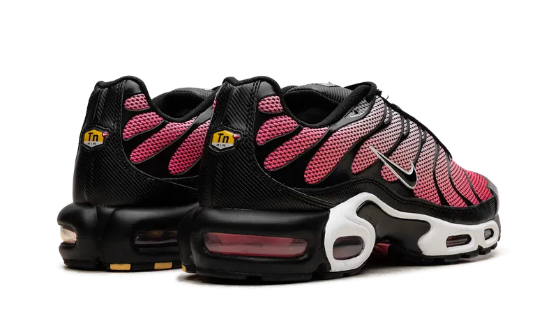 Nike Air Max Plus “All Day” (HF3837-600)