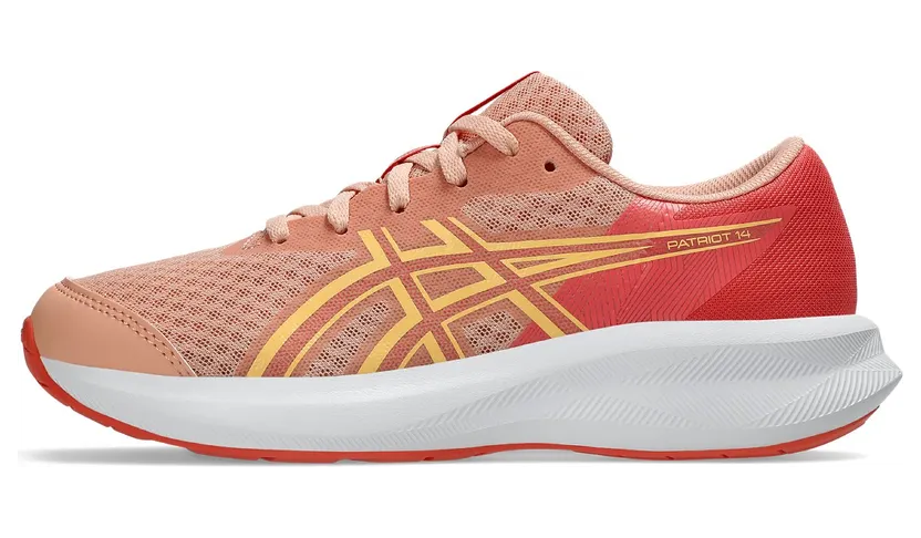 asics-patriot 1014A392-700