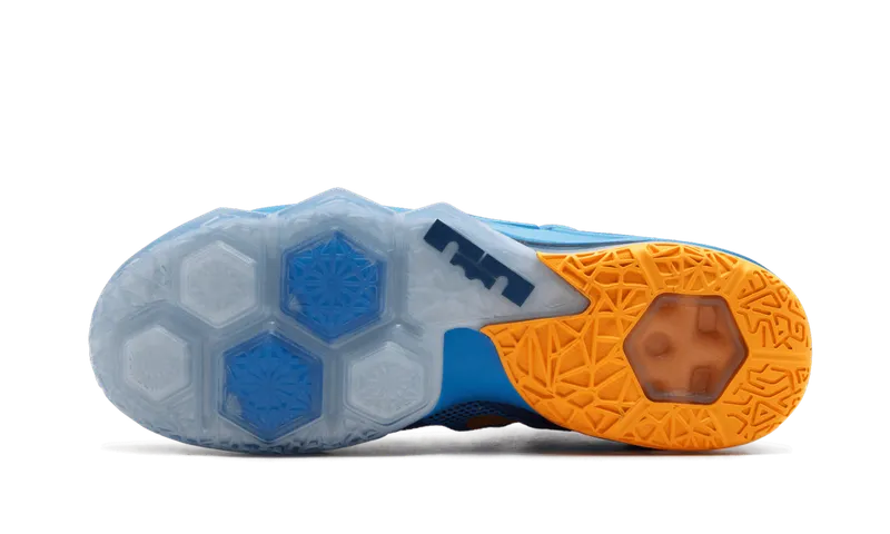 Nike Lebron 12 Low “Entourage” (724557-484)