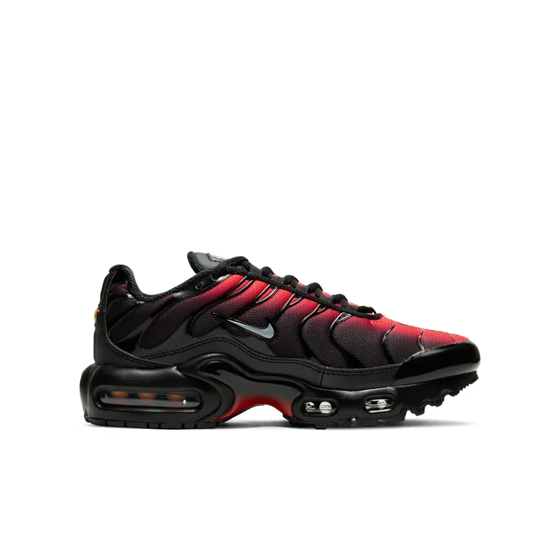 Nike Air Max Plus Black Crimson (DD3229-001)