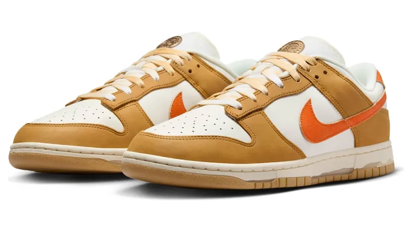 nike-dunk HM3729-181