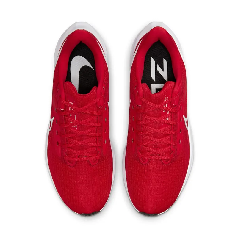 Nike Air Zoom Pegasus 39 TB University Red (DM0164-602)