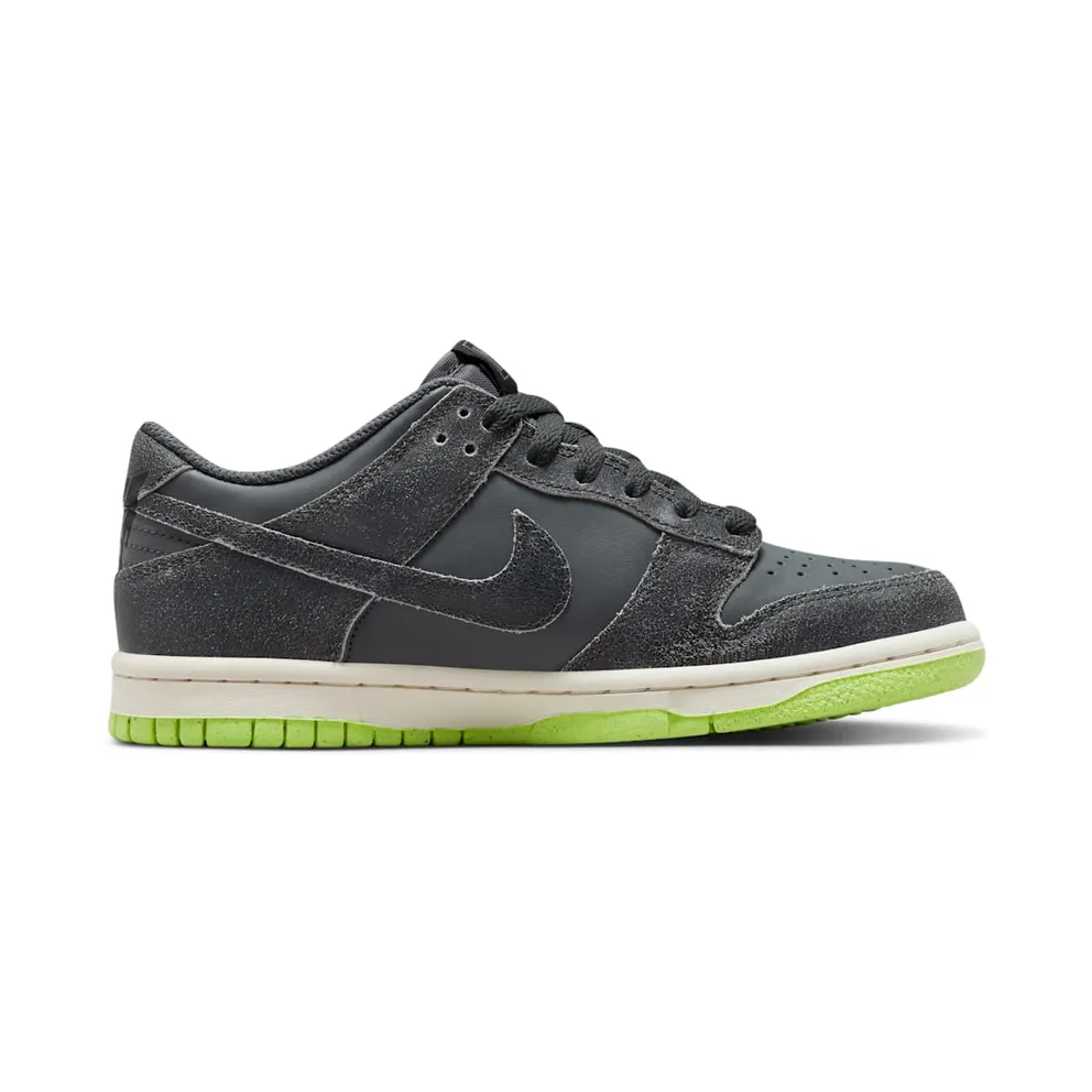 Nike Dunk Low SE Older Kids’ Grey (DQ6215-001)