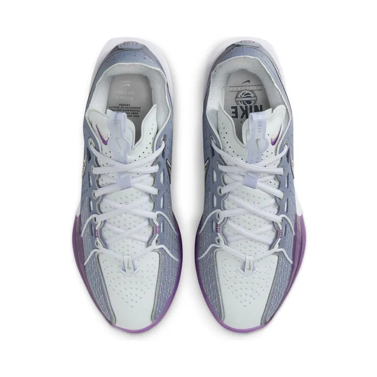 nike-air-zoom FZ6384-400