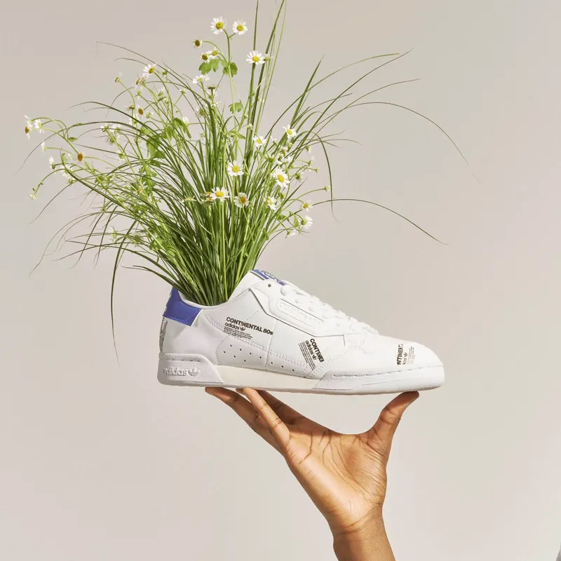 adidas-continental-80 GV7669